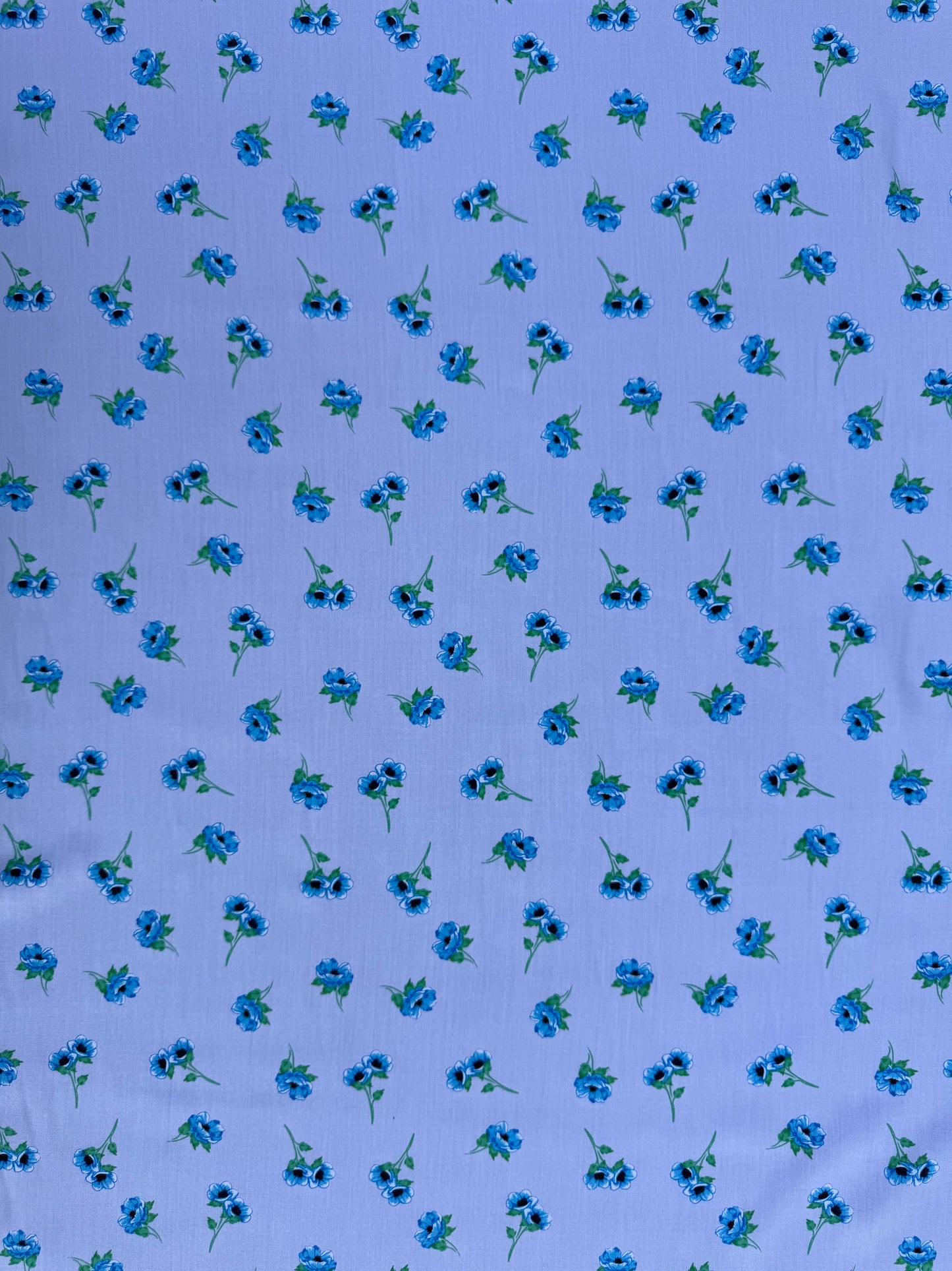 D40