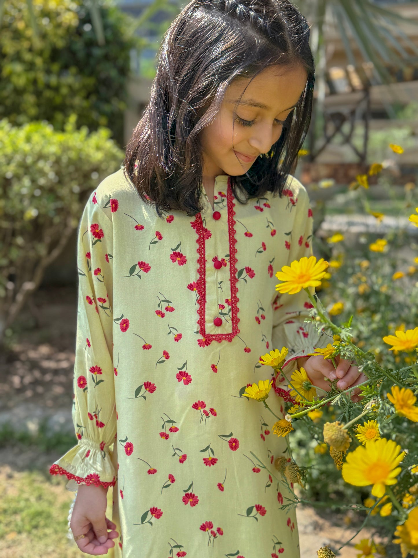 Sunflower